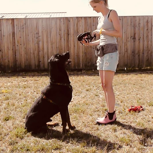 Marion-Umek-Dogs-Holistic-Hundetraining-kennenlernen Marion-Umek-Dogs-Holistic-Hundetraining-kennenlernen