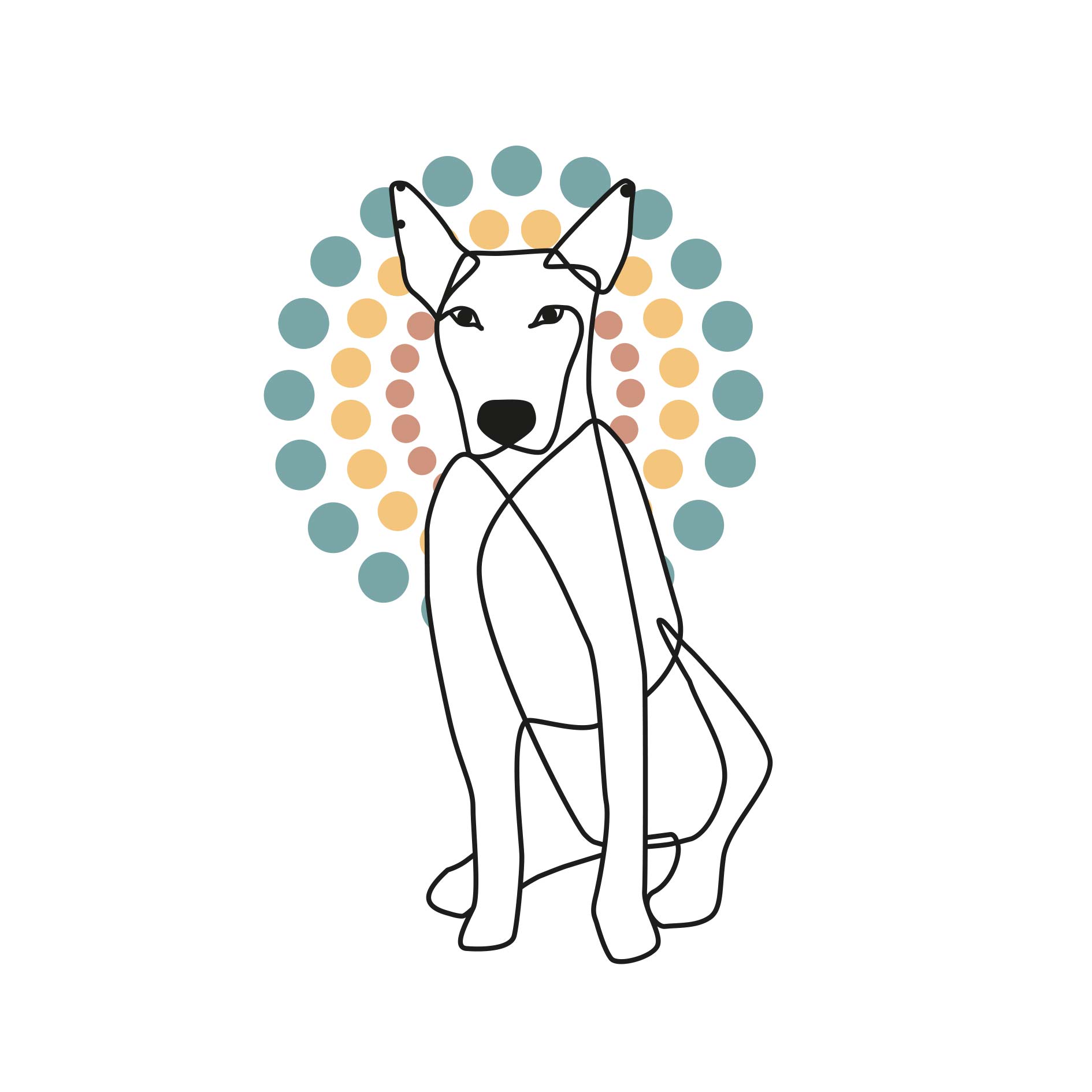 Dogs-Holistic-Jimi+Kreis Dogs-Holistic-Jimi+Kreis